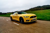 mustang bronze class